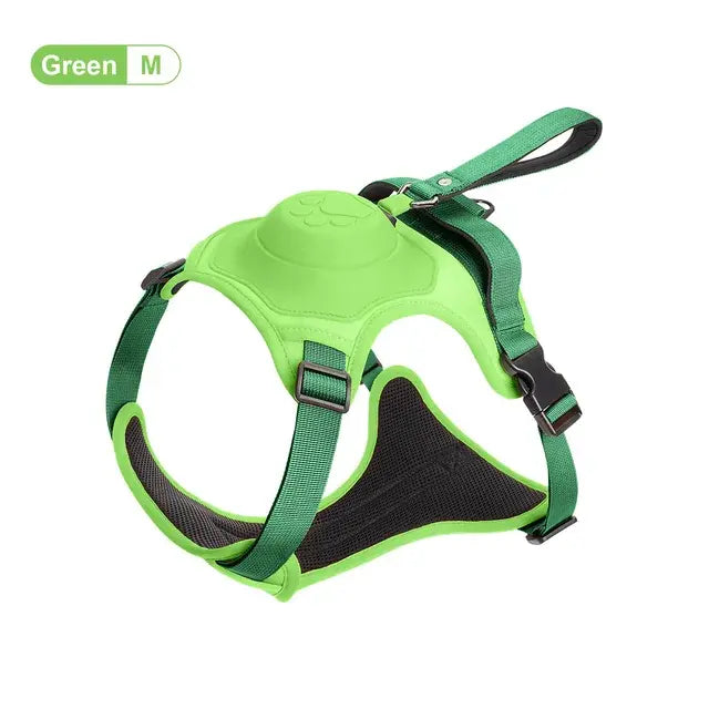 Laisse rétractable flexible pour chiens de taille moyenne à grand