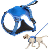 Laisse rétractable flexible pour chiens de taille moyenne à grand