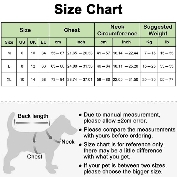 Laisse rétractable flexible pour chiens de taille moyenne à grand