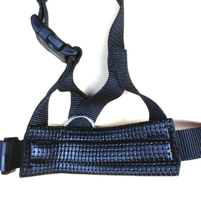 Muselière réglable en nylon pour chien, douce et sûre, anti-morsure et anti-aboiement, avec collier et laisse.