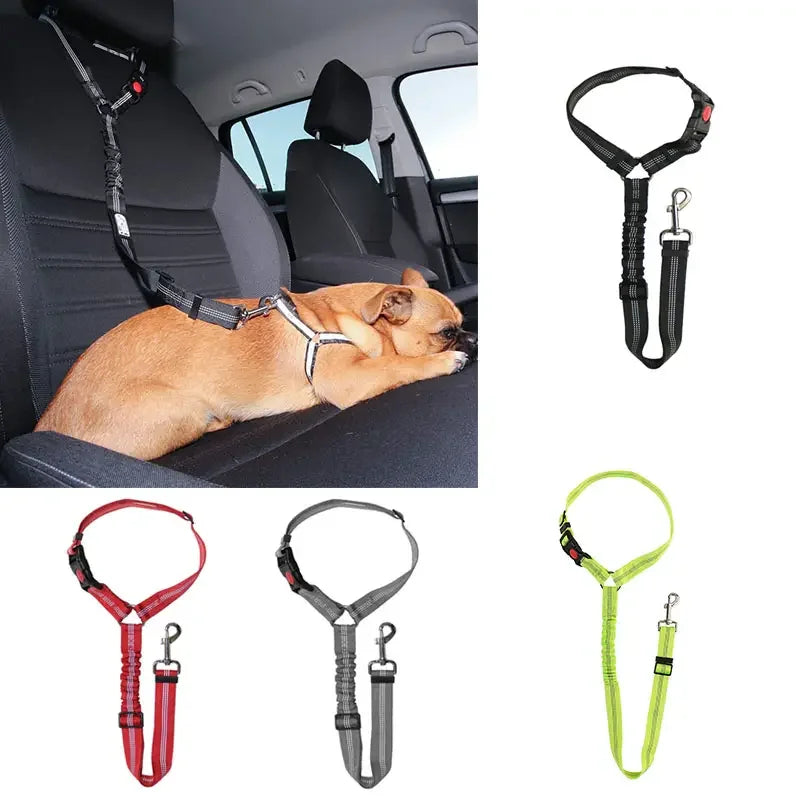 Ceinture de sécurité pour petits animaux, idéale pour la voiture et les promenades.