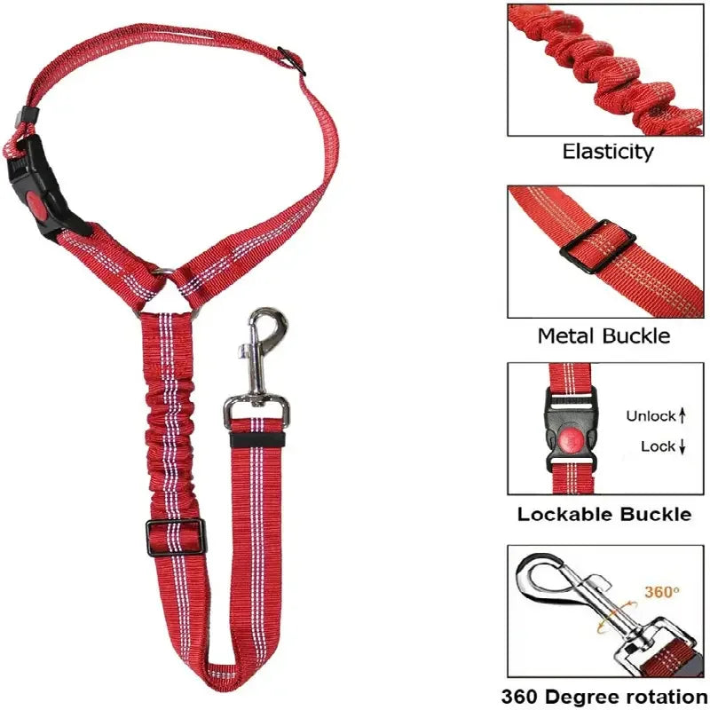 Ceinture de sécurité pour petits animaux, idéale pour la voiture et les promenades.