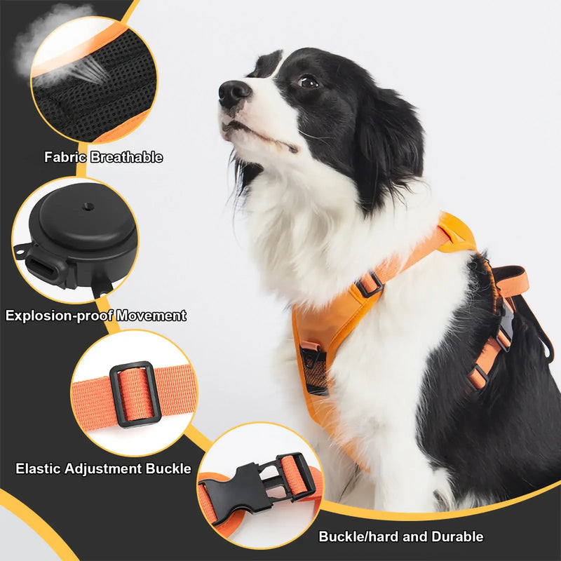 Laisse rétractable flexible pour chiens de taille moyenne à grand